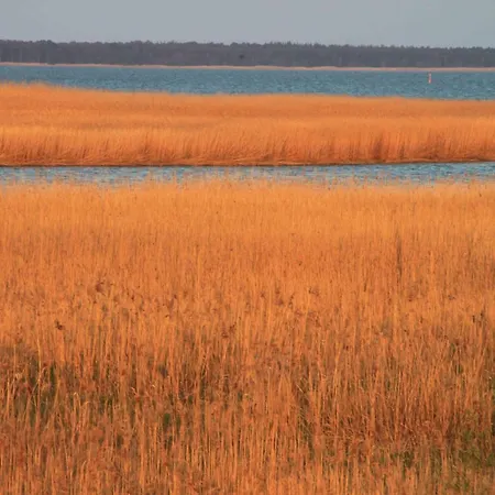 Residenz Am - 2-raum *